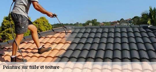Peinture sur tuile et toiture  83790