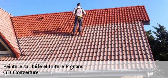 Peinture sur tuile et toiture  83790
