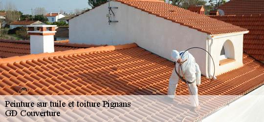 Peinture sur tuile et toiture  83790