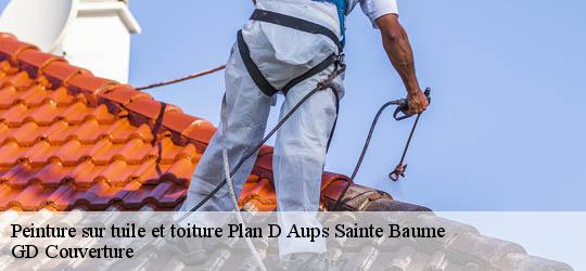 Peinture sur tuile et toiture plan-d-aups-sainte-baume-83640 GD Couverture