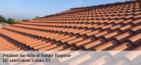 Peinture sur tuile et toiture  regusse-83630 MJ renovation toiture 83