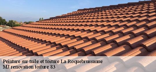 Peinture sur tuile et toiture  la-roquebrussanne-83136 MJ renovation toiture 83