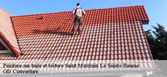 Peinture sur tuile et toiture 83470