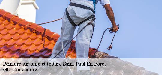 Peinture sur tuile et toiture saint-paul-en-foret-83440 GD Couverture