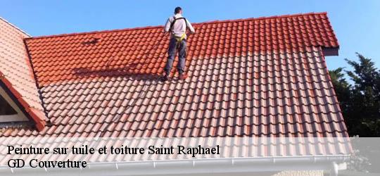 Peinture sur tuile et toiture  83700
