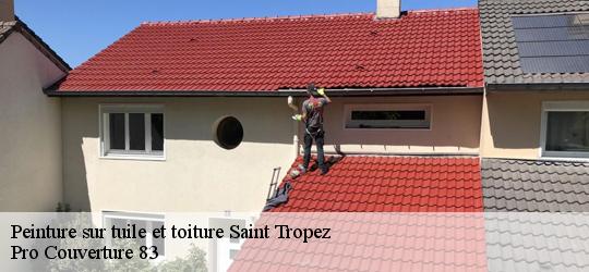 Peinture sur tuile et toiture 83990