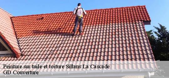 Peinture sur tuile et toiture 83690