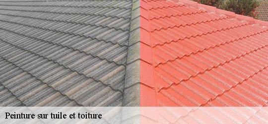 Peinture sur tuile et toiture 83690