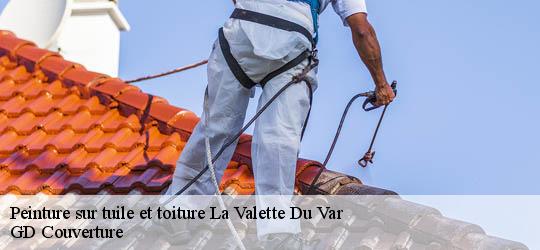 Peinture sur tuile et toiture  la-valette-du-var-83160 GD Couverture