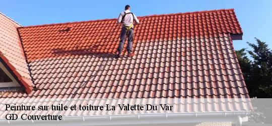 Peinture sur tuile et toiture  83160