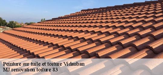 Peinture sur tuile et toiture  vidauban-83550 MJ renovation toiture 83