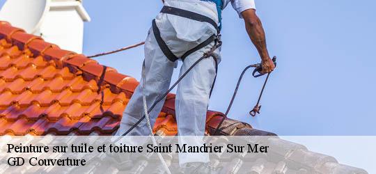 Peinture sur tuile et toiture  saint-mandrier-sur-mer-83430 GD Couverture