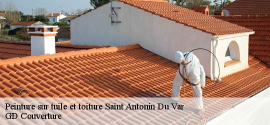 Peinture sur tuile et toiture 83510