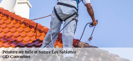 Peinture sur tuile et toiture les-sablettes-83500 GD Couverture