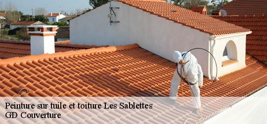 Peinture sur tuile et toiture 83500