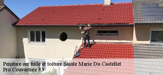 Peinture sur tuile et toiture 83330