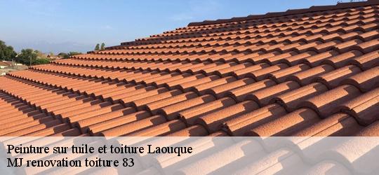 Peinture sur tuile et toiture  laouque-83330 MJ renovation toiture 83