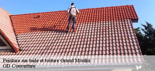 Peinture sur tuile et toiture 83740