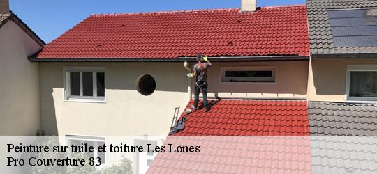 Peinture sur tuile et toiture 83140