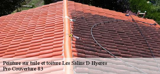 Peinture sur tuile et toiture les-salins-d-hyeres-83400 Pro Couverture 83