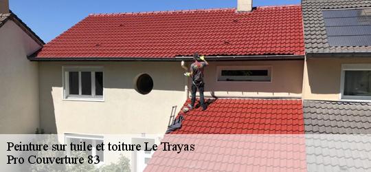 Peinture sur tuile et toiture 83700