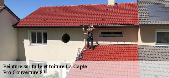 Peinture sur tuile et toiture 83400