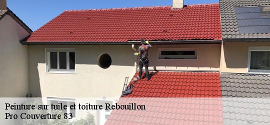 Peinture sur tuile et toiture  83300