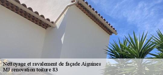 Nettoyage et ravalement de façade  aiguines-83630 MJ renovation toiture 83