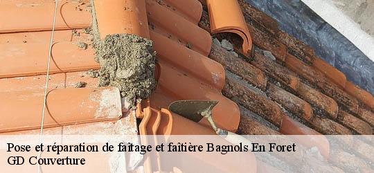 Pose et réparation de faîtage et faîtière 83600