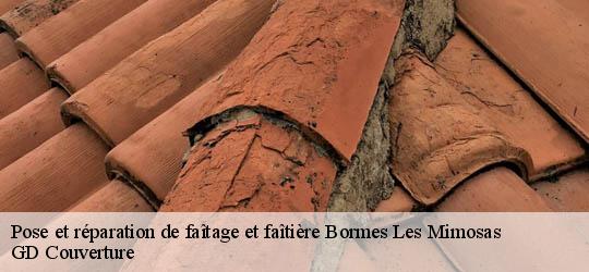 Pose et réparation de faîtage et faîtière bormes-les-mimosas-83230 GD Couverture