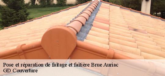 Pose et réparation de faîtage et faîtière  83119