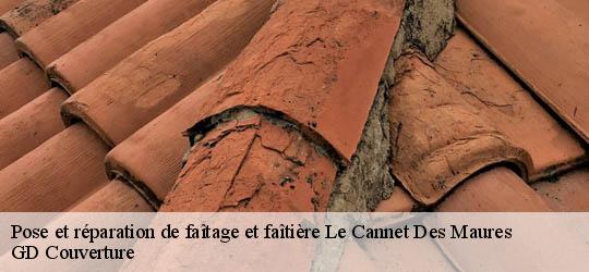 Pose et réparation de faîtage et faîtière le-cannet-des-maures-83340 GD Couverture