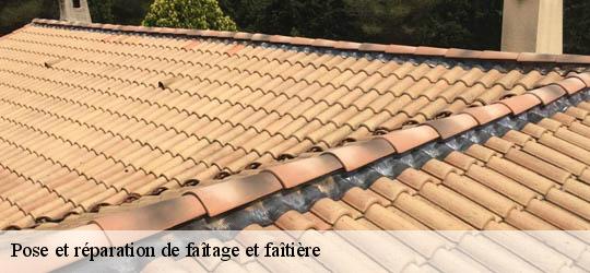 Pose et réparation de faîtage et faîtière 83210