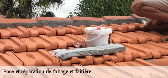 Pose et réparation de faîtage et faîtière 83700