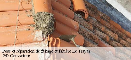 Pose et réparation de faîtage et faîtière 83700