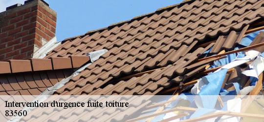 Intervention d'urgence fuite toiture 83560