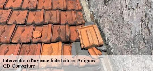 Intervention d'urgence fuite toiture 83560