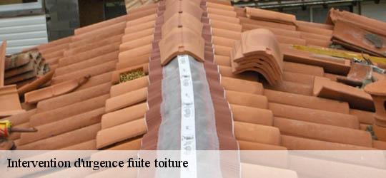 Intervention d'urgence fuite toiture 83560
