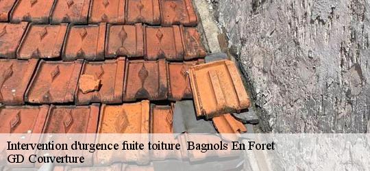 Intervention d'urgence fuite toiture   83600