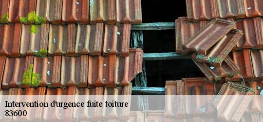 Intervention d'urgence fuite toiture   83600