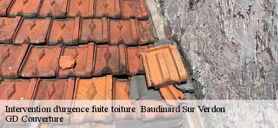 Intervention d'urgence fuite toiture   83630