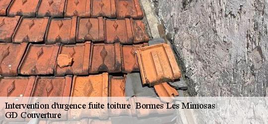 Intervention d'urgence fuite toiture 83230