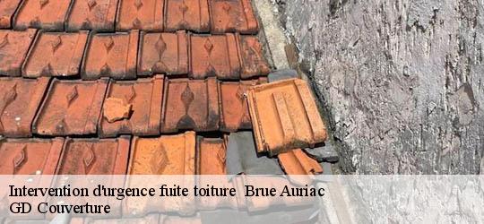 Intervention d'urgence fuite toiture 83119