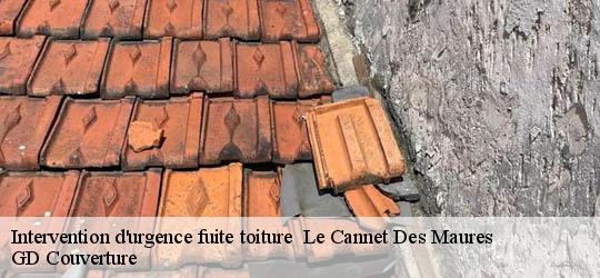 Intervention d'urgence fuite toiture 83340