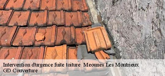 Intervention d'urgence fuite toiture   83136