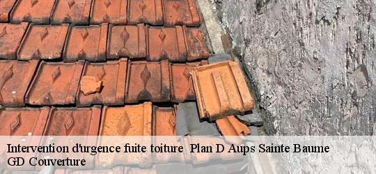 Intervention d'urgence fuite toiture   83640