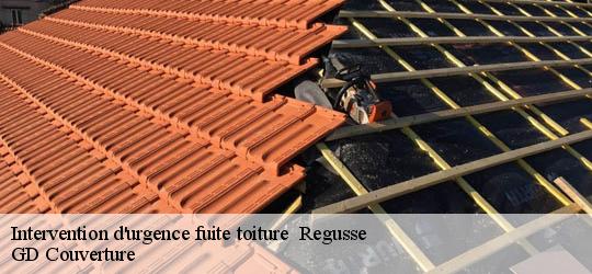 Intervention d'urgence fuite toiture 83630