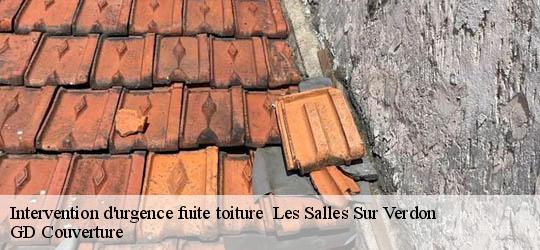 Intervention d'urgence fuite toiture 83630