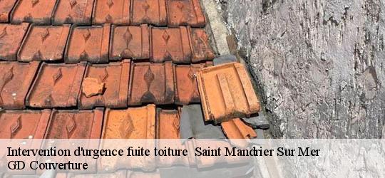 Intervention d'urgence fuite toiture   83430