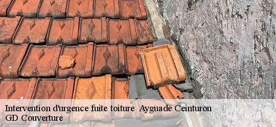 Intervention d'urgence fuite toiture   83400